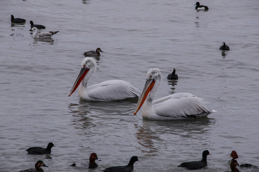 Similar image 6084332