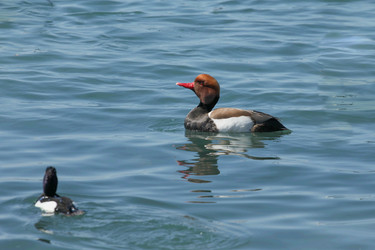 Similar image 6084335