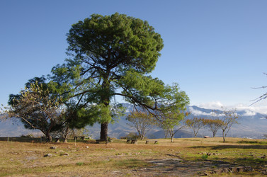 Similar image 6084350