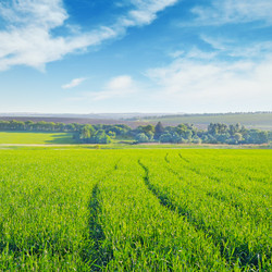 Similar image 6084363