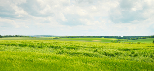 Similar image 6084366