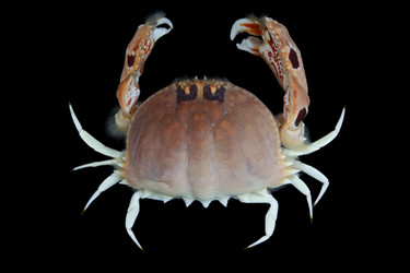 Similar image 6084573