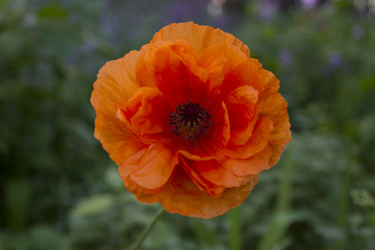 Similar image 6084576