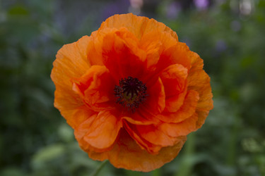 Similar image 6084585