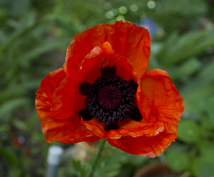 Similar image 6084586