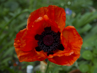 Similar image 6084587