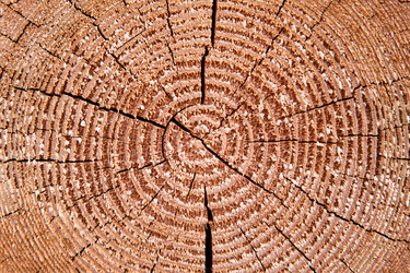 Similar image 6084598