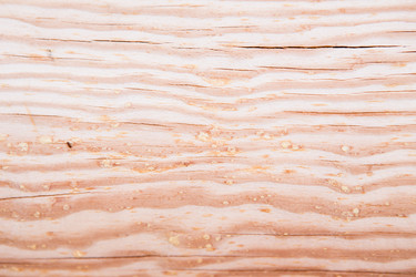 Similar image 6084603