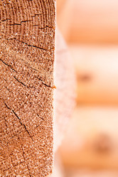 Similar image 6084632