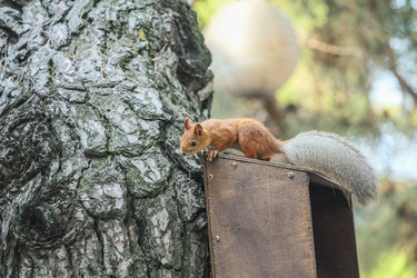 Similar image 6084673