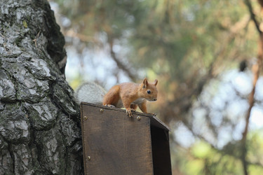 Similar image 6084674