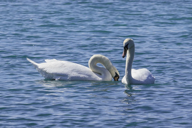 Similar image 6084792