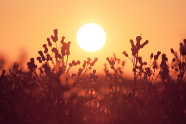 Similar image 6085016