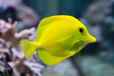 Similar image 6085188