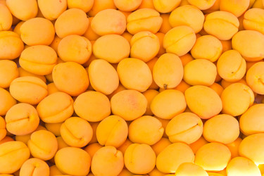 Similar image 6085203