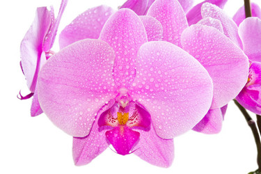 Similar image 6085204