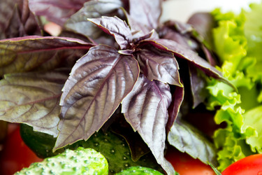 Similar image 6085256