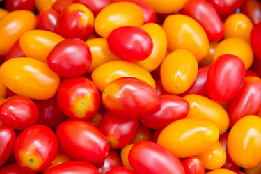 Similar image 6085257