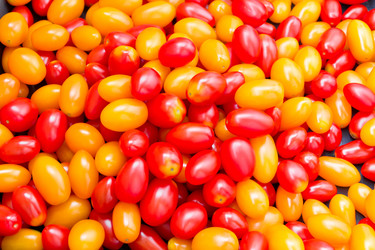 Similar image 6085265