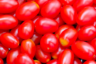 Similar image 6085269