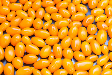 Similar image 6085270