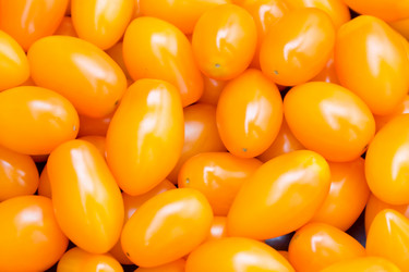 Similar image 6085272