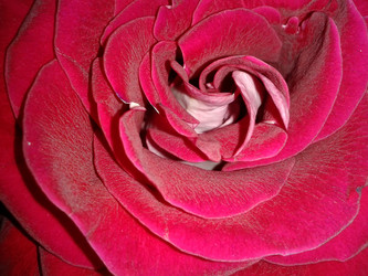 Similar image 6085297