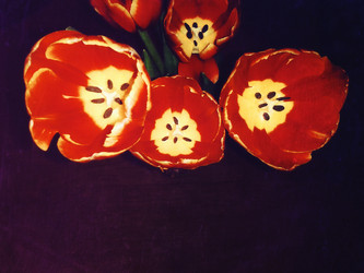 Similar image 6085408