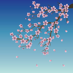 Similar image 6085411