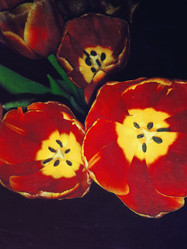 Similar image 6085423