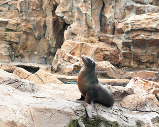 Similar image 6085586