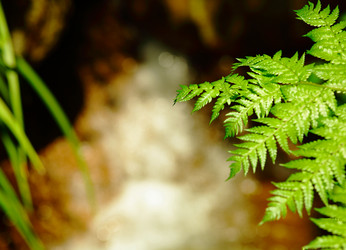 Similar image 6085596