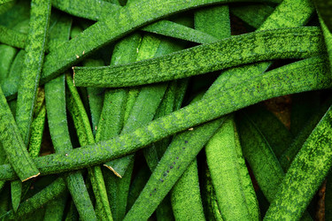 Similar image 6085607