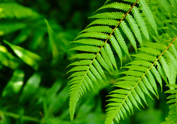 Similar image 6085608