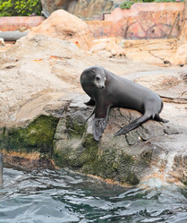 Similar image 6085618