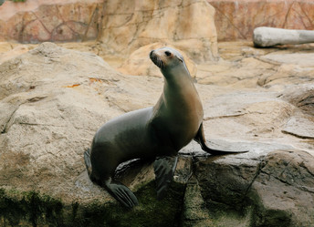 Similar image 6085620