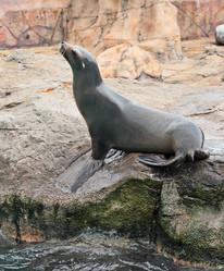 Similar image 6085621