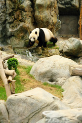 Similar image 6085633