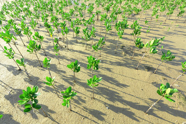 Similar image 6085654