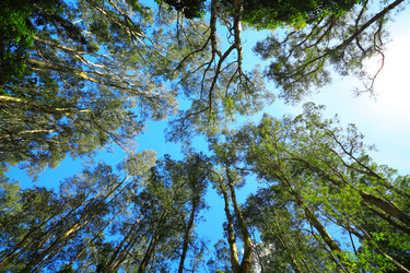 Similar image 6085720