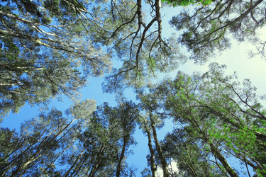 Similar image 6085722