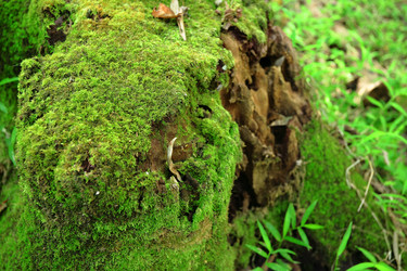 Similar image 6085723