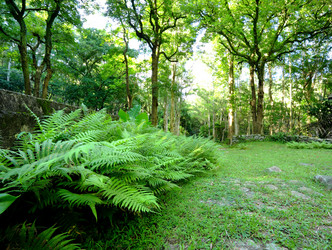 Similar image 6085724