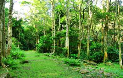 Similar image 6085736