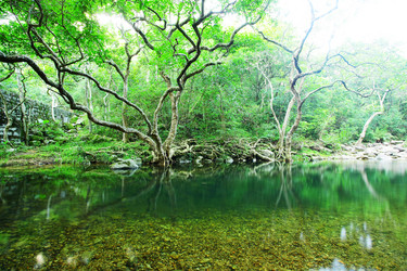 Similar image 6085742