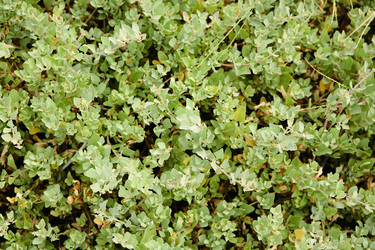 Similar image 6085761