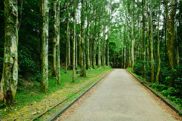 Similar image 6085770