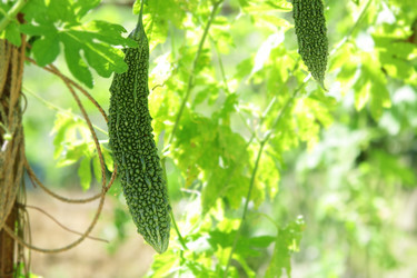 Similar image 6085857