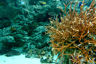 Similar image 6085910