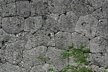 Similar image 6085946